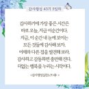 제주소호네