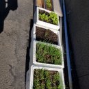 선우정경로당 이미지