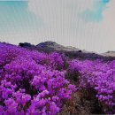 대정자동차정비 이미지