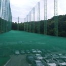 다일락스포렉스 이미지