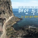 새천년로 네이버블로그