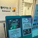 서기 | 에버랜드 바오하우스 시즌 2 평일 현장 줄서기 후기 🐼