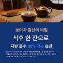 갈산식품 | 보이차 갈산의 비밀, 식후 한 잔으로 지방 흡수 30% 막는 습관