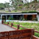 라드라비 이미지