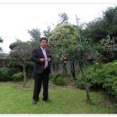 용방초교 이미지