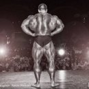 헬스로운짐 이미지