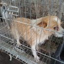 봉성농장 이미지