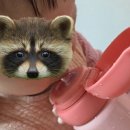 주니지 | 주니 스테인리스 빨대 텀블러 사용 후기🩷