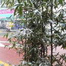 서울축산업협동조합 사료사업본부 이미지