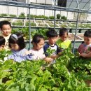 화명1동 주민센터 이미지