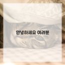 운동의 발견 이미지