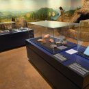 의성조문국박물관 이미지