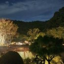 산속정원캠핑장 이미지