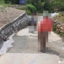 고성탑공인중개사사무소 이미지