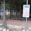 자동산책길 이미지