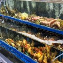 바다속으로실내포차 | 진주 충무공동 맛집 해산물포차 머구리 포장마차 후기