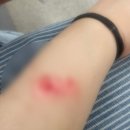 민성약국 이미지