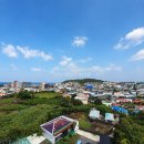 제주그랜드공인중개사사무소 | 제주 함덕 오피스텔 감각인테리어 투룸 반려동물가능