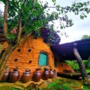 예솔이네집 이미지