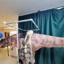 더 퍼포머 마술극장 | 청주아이와 가볼만한 곳 어른끼리 갔는데 반했다! 더퍼포머 마술극장 생생후기