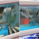 봉래횟집 이미지