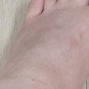 경주대학교 혁신 노동조합 | [스마트팜 혁신밸리] 두바이 아삭 토마토