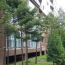 호평로149 이미지