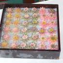 전통떡한과 이미지