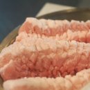 돈백꽃도두점