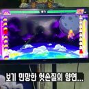 패자는 카운터로 이미지