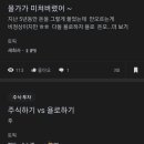욜로