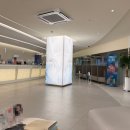 대로(주)3-1-5 | 죽다 살아난 마운자로 2.5mg 한 달 후기 ㅣ 5kg 감량 성공! 부작용 가격 음주 재고 꿀팁 총정리