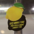 팡팡PC | [카페] 파주(야당) _ 파주야당카페 | 배스킨라빈스 6월 이달의 맛 블랙소르베