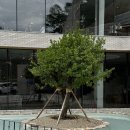 유성여고 화장실 | 포항역 근처 빵이 맛있는 대형카페 “슈슈모아 후기”