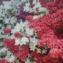 초암약수터 이미지