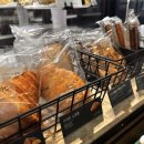 서해안로 | 🌿 제주 감성 한가득! 스타벅스 서해안로DT점 방문 후기