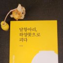 이종열 ＜달항아리, 하양꽃으로 피다＞ '환상감과 달항아리' 이미지