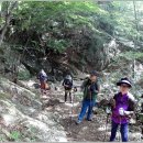 시티은행 앞 이미지