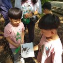 에덴키즈어린이집 이미지