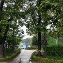 종합운동장역 8번출구 | 서울 50m 레인 잠실 제1수영장 평일 자유수영 후기
