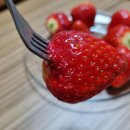 이베스트 | 광주 용봉동 과일: 이베스트청과 딸기 맛있네요