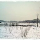 와촌농장 이미지