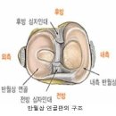 [무릎통증]축구로 인한 무릎연골손상.관절내시경수술 이미지