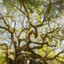 (주)해적아일랜드 이미지