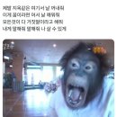28 | 쿠팡 인천28센터 허브 후기... ㄹㅇ 이제 여기 다시 못가겠음