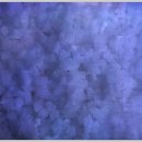 소래습지생태공원(전시관) 이미지