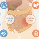 건강이네 이미지