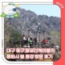 팔공산케이블카 | 대구 동구 팔공산케이블카 동화사 봄 풍경 방문 후기