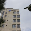 스카리아 이미지