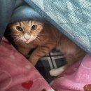 신선정형외과의원 이미지